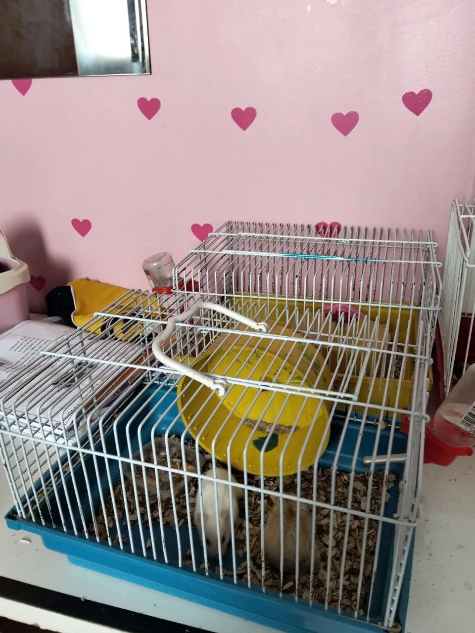 Hamster com gaiola e Bebedouro  - Foto 3