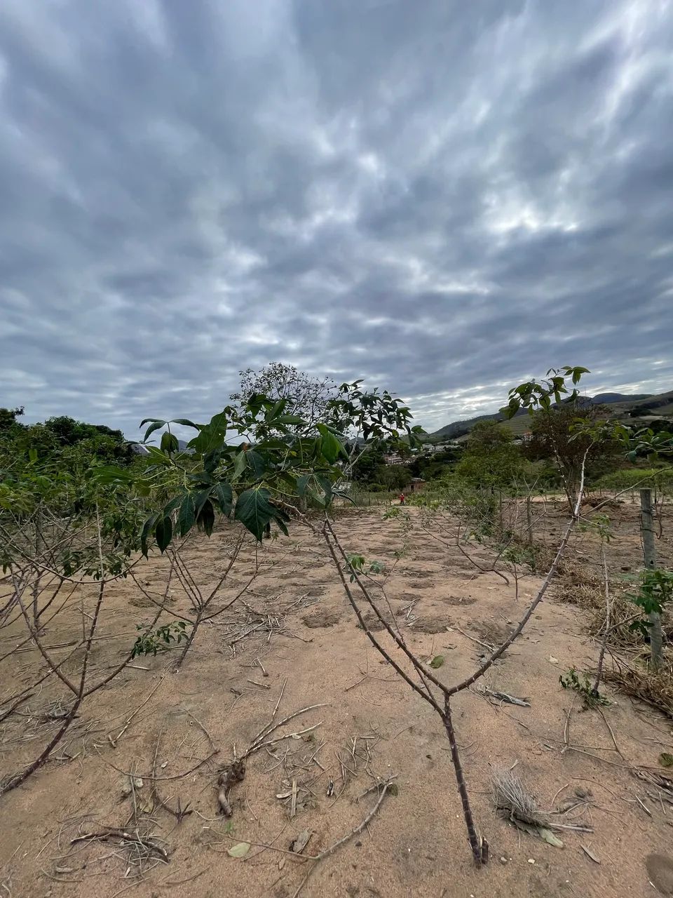 Vende se  - Foto 3