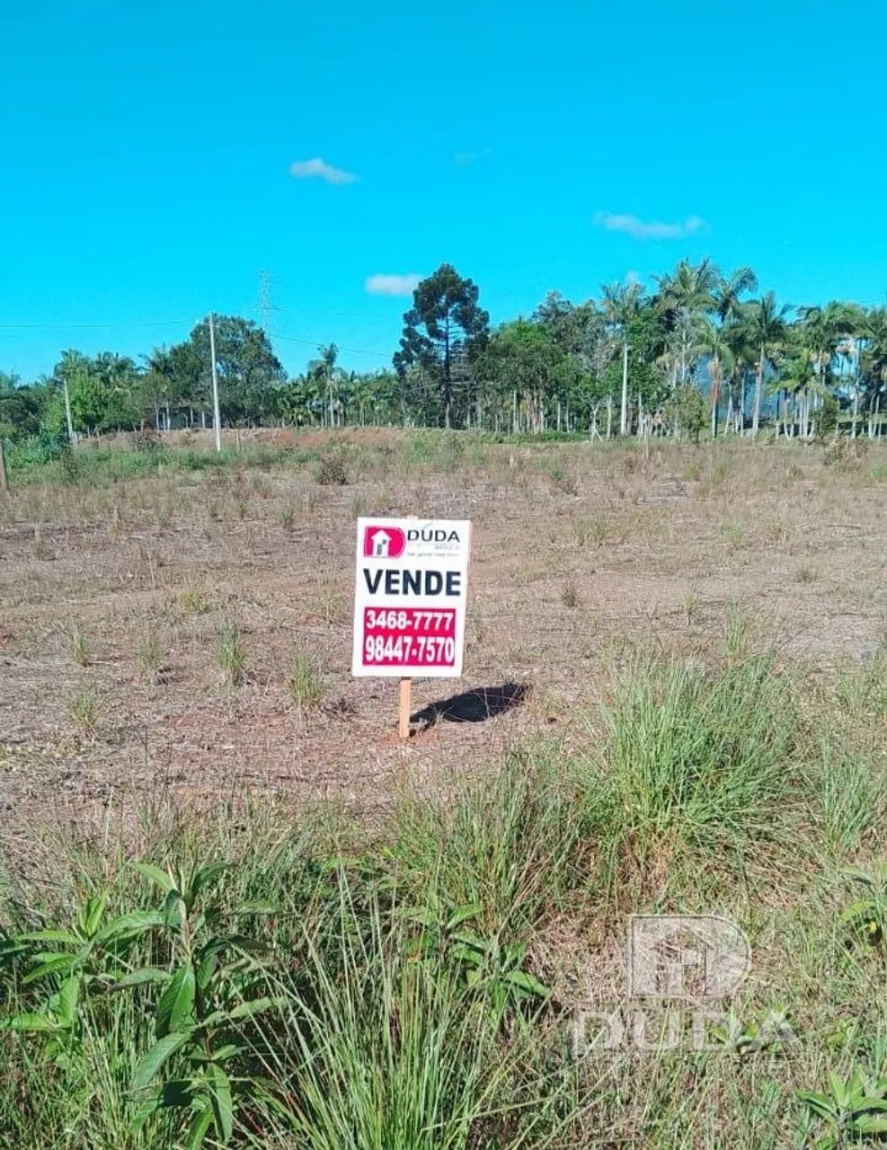 Terreno à venda em Nova Veneza - Foto 4