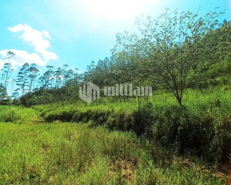 LINDO TERRENO PARA SÍTIO EM BOTUVERÁ - Foto 2