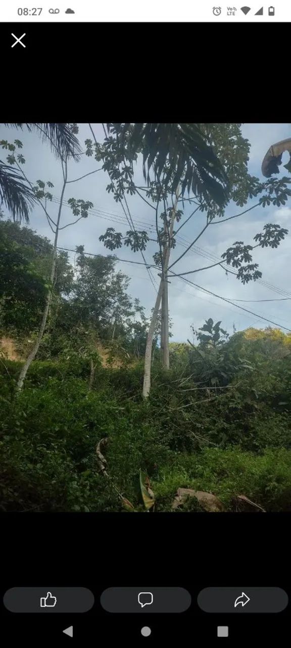 Terreno  - Foto 4