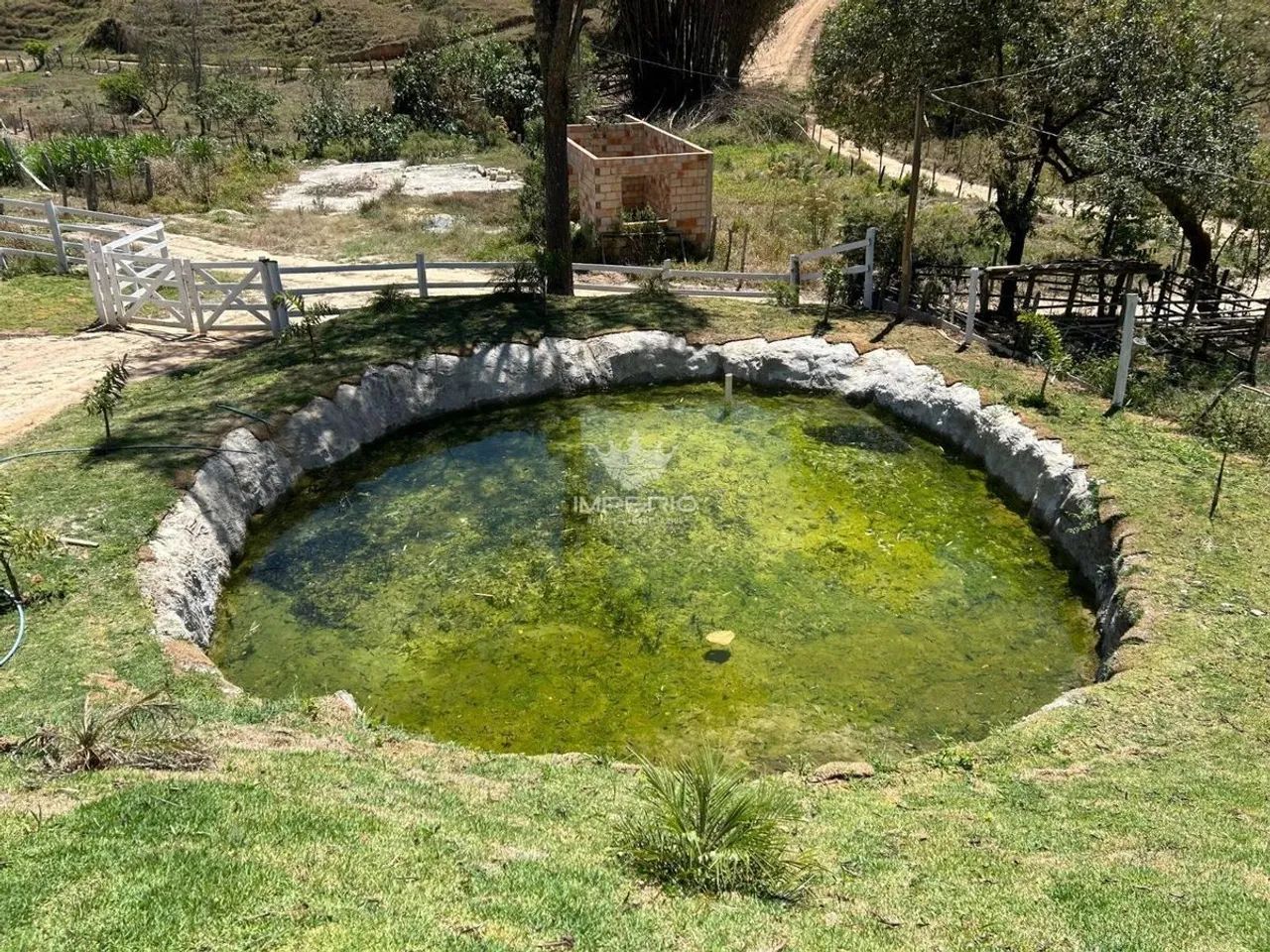 COD 561 SÍTIO À VENDA EM BONFIM 3.600 M² - Foto 2