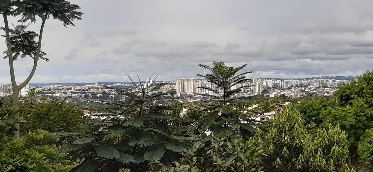 Foto - Brasília - Setor Habitacional Arniqueira (Águas Claras)