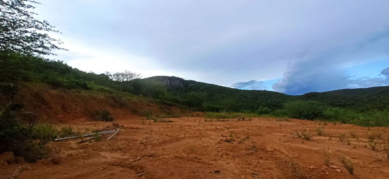 TERRENO DE 1 HECTARE EM JEQUIÉ CERCADO - Foto 3