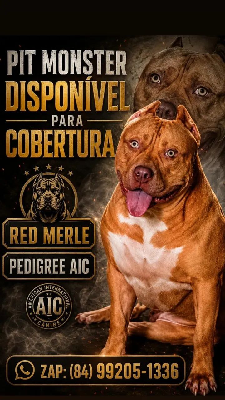 PIT MONSTER COBERTURA 