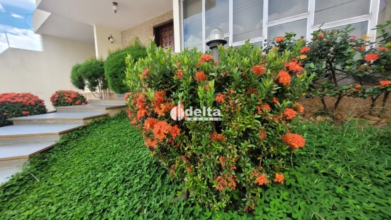 Casa estilo sobrado à venda , bairro Tabajaras - Foto 2