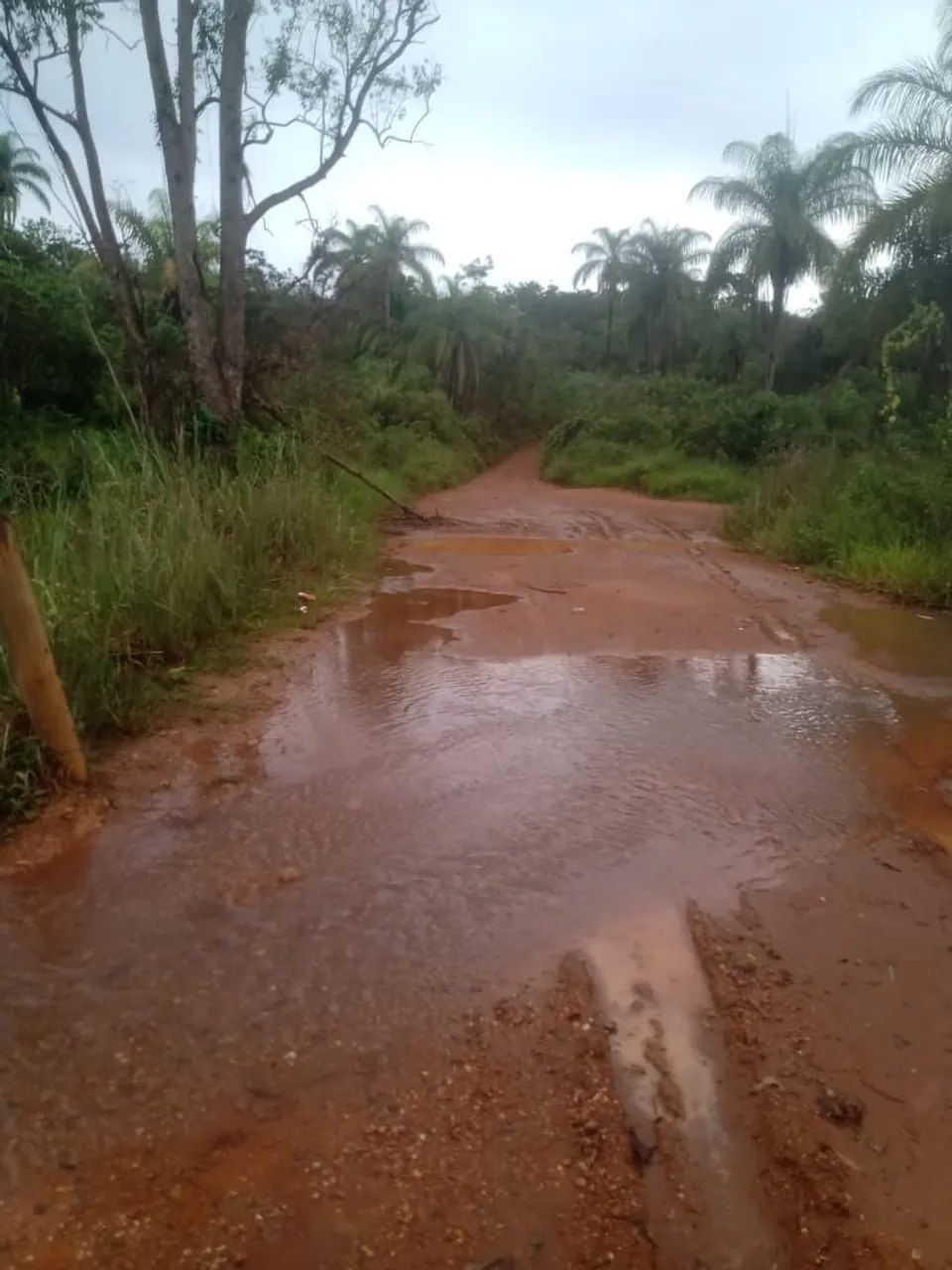 Foto - Betim - Icaivera