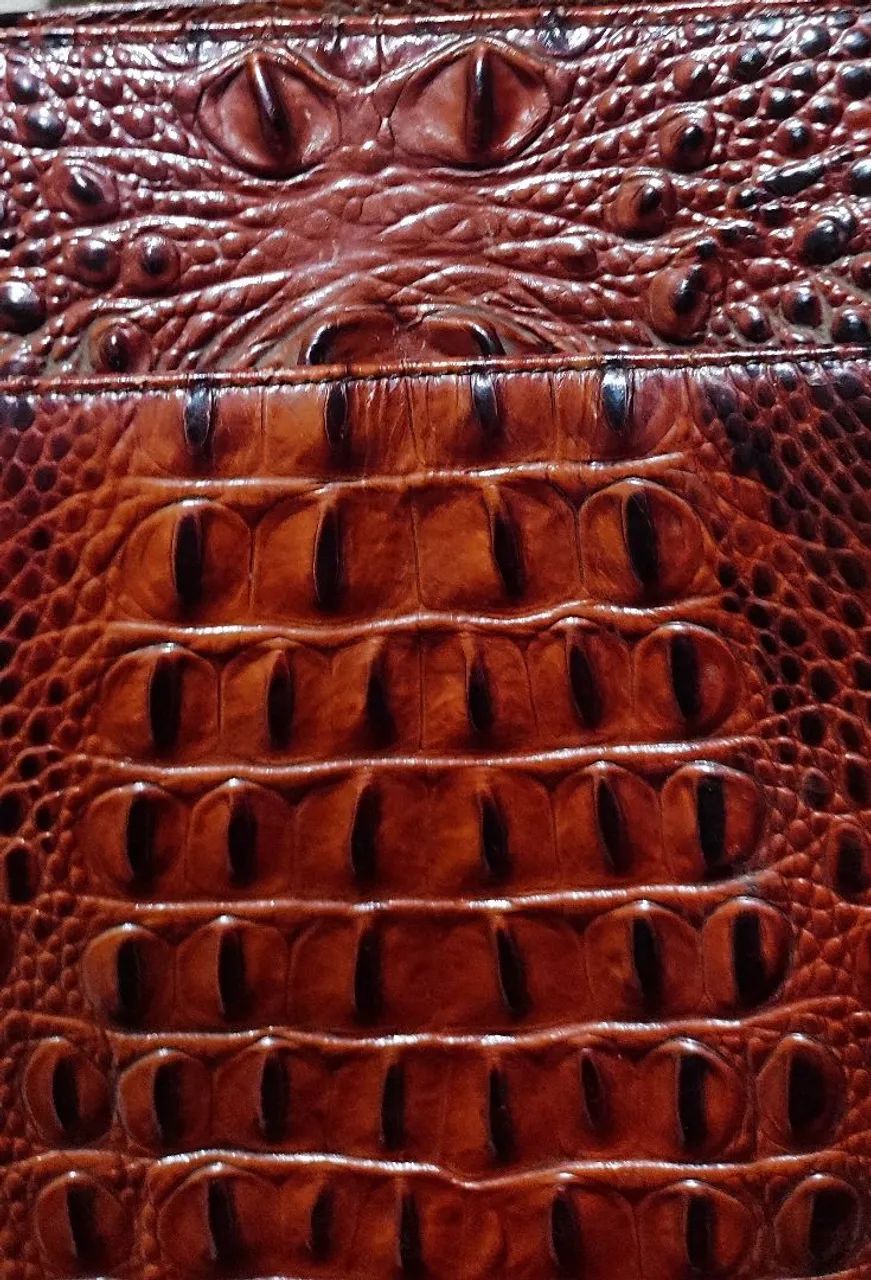 Bolsa Brahmin - Foto 5