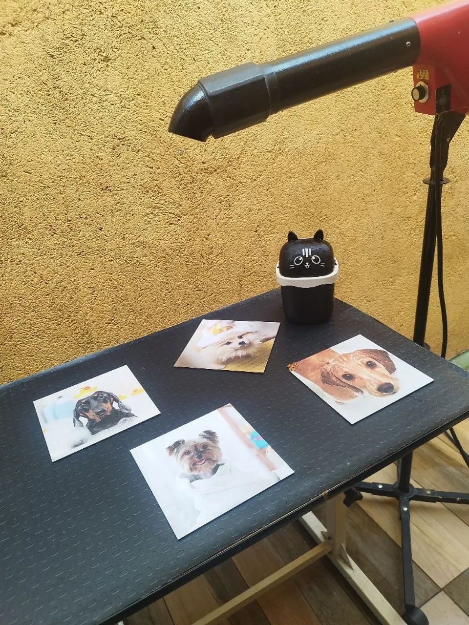 Mobiliário para montar seu Pet Shop  - Foto 5