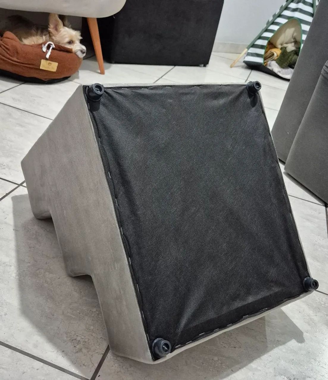 Escada pet sem uso437443666673684483