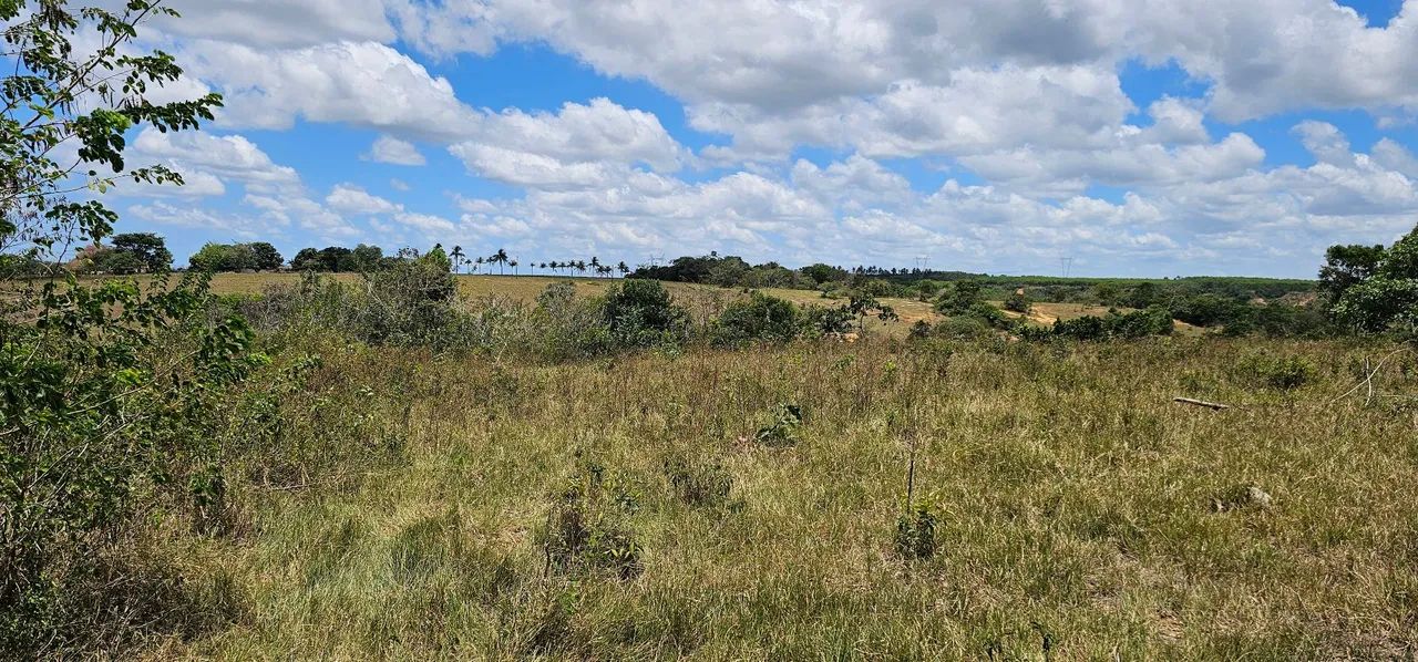 TERRENO NO POVOADO TOMBO, SALGADO - Foto 4