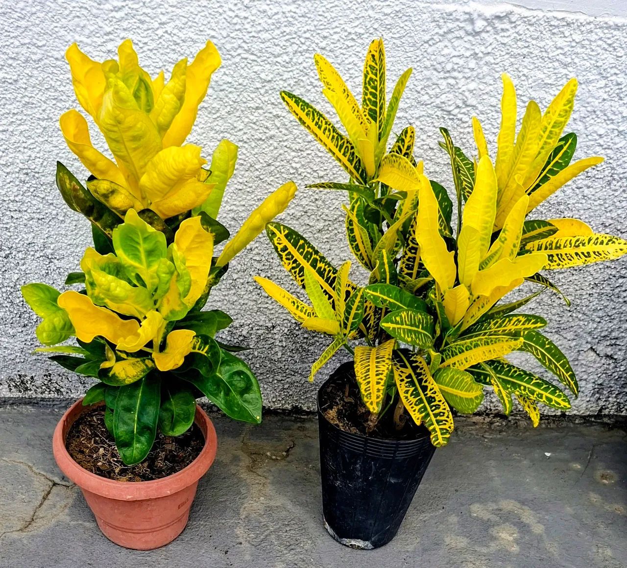 Vendo  - Foto 2