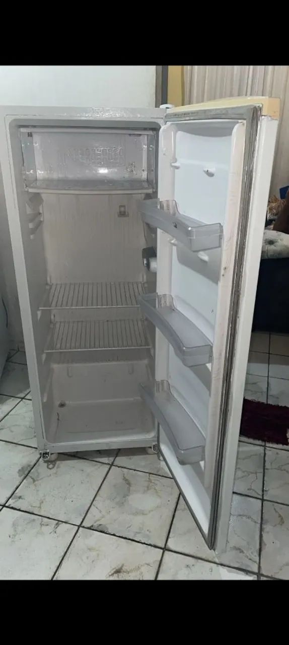 Geladeira usada funcionando tudo perfeito vendo e faço entrega 