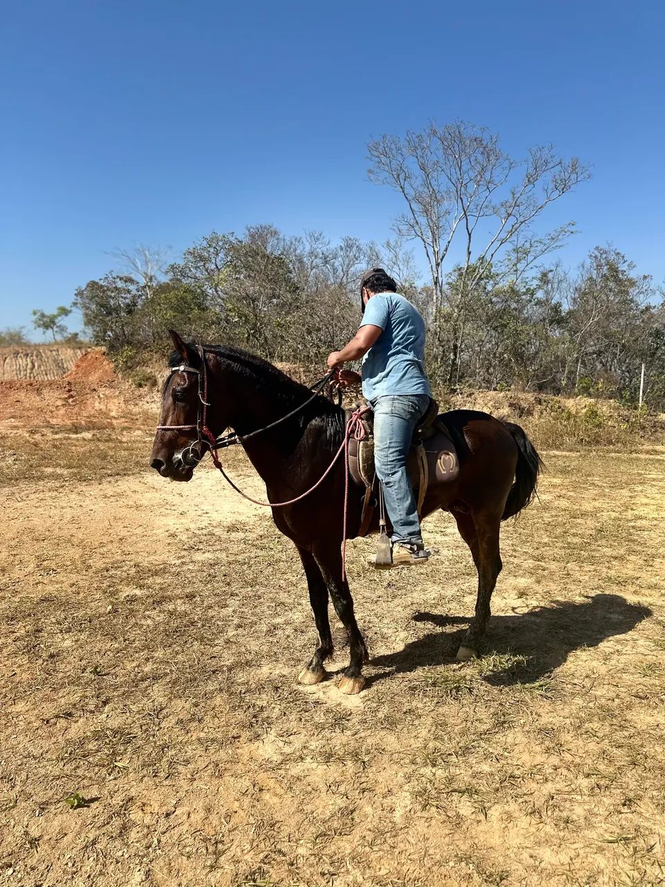 Cavalo Manga Larga Marchador - Foto 3