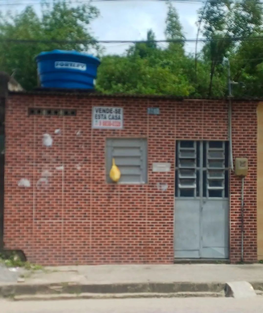 Foto - Recife - Passarinho
