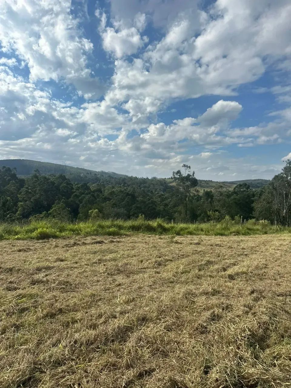 Lotes de 1.000m² em Condomínio Fechado | Mairinque - Foto 5