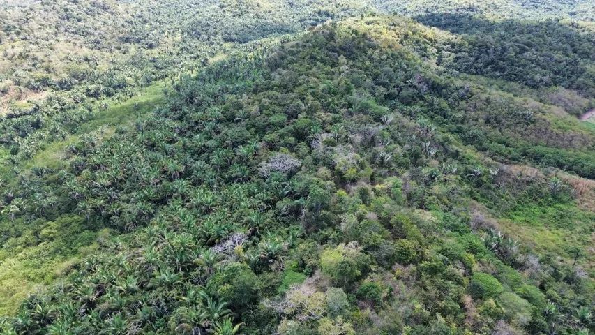 Fazenda 30 ha - Foto 5