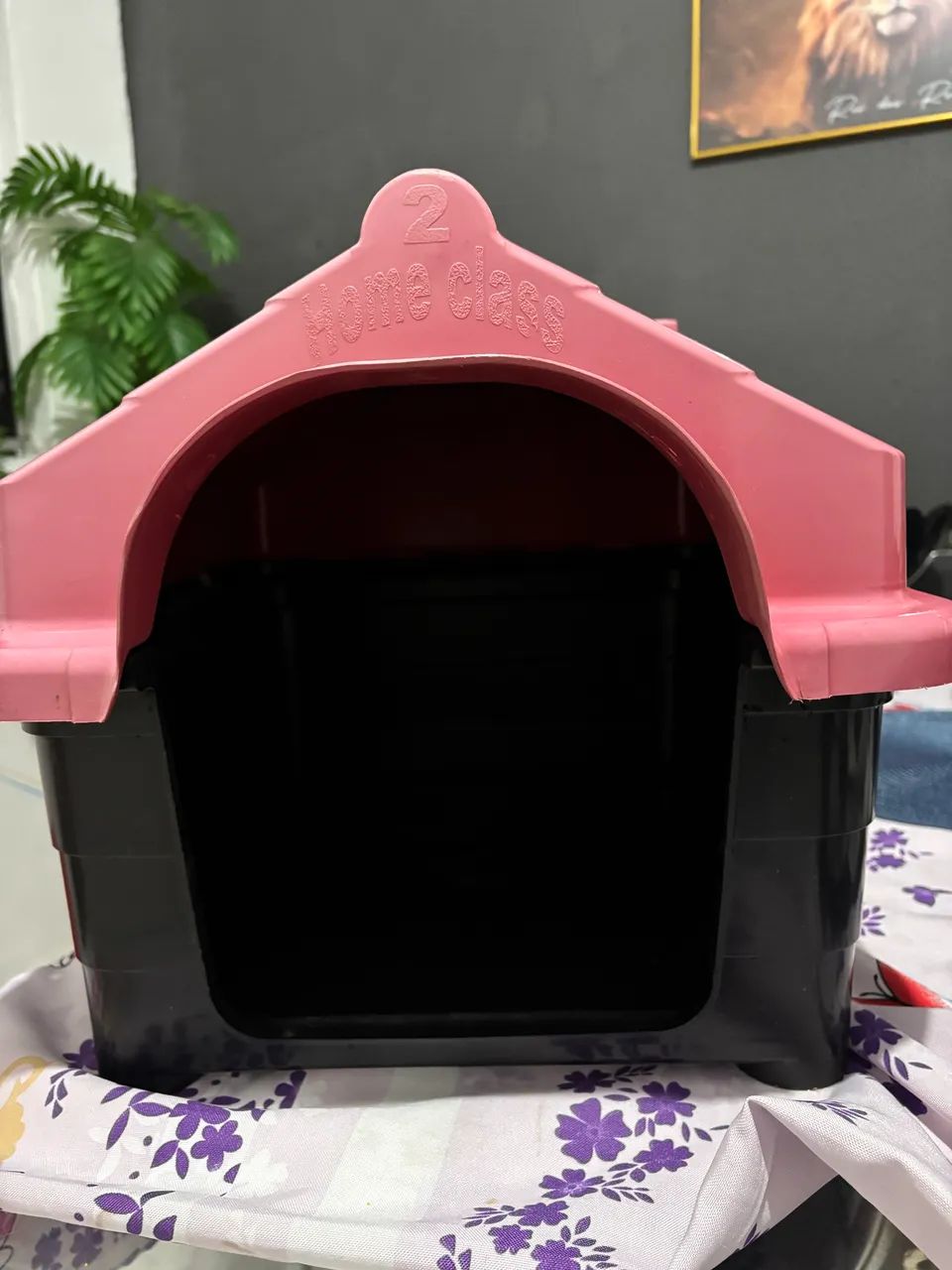 Casinha n2 - Foto 3