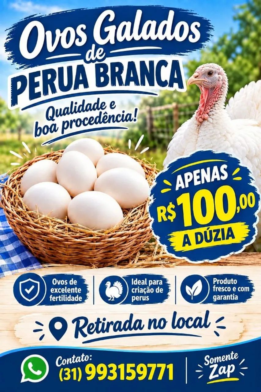 Ovos galados de perua branca
