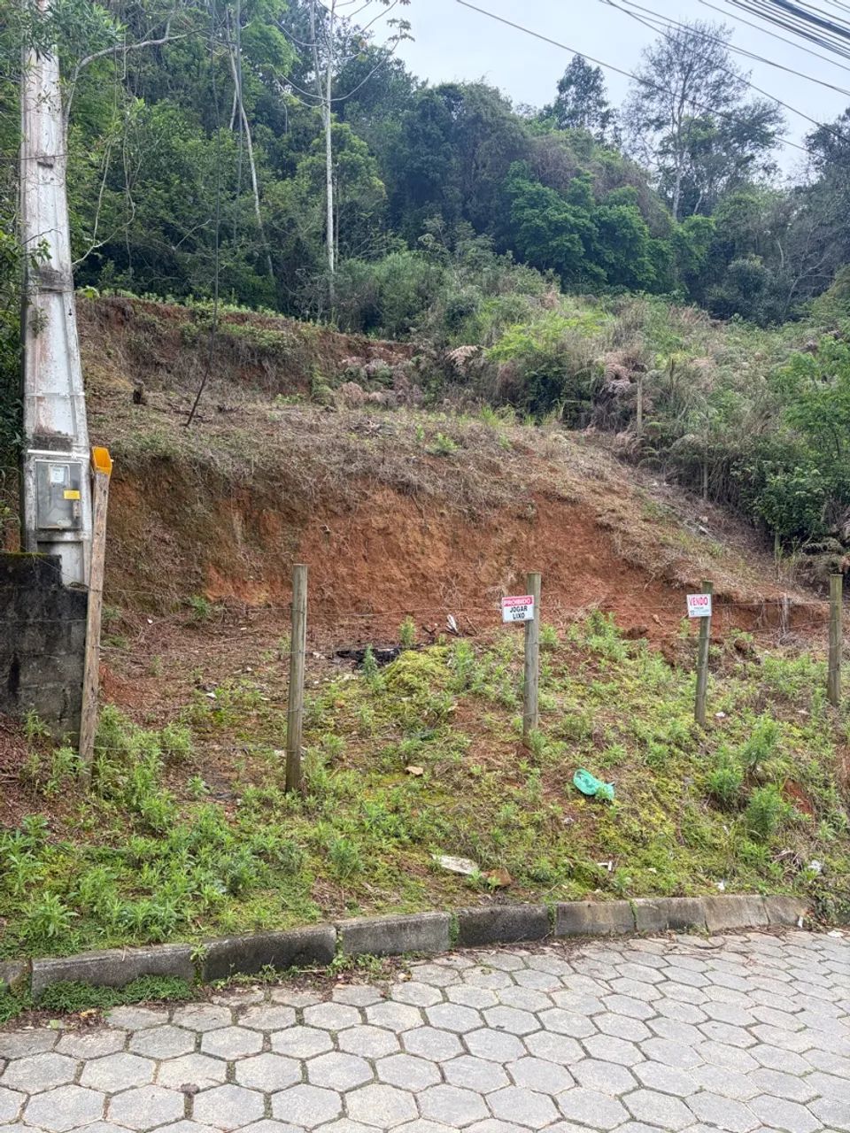 Terreno  - Foto 2