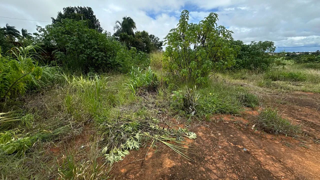 Lote em Vicente Pires - Foto 2