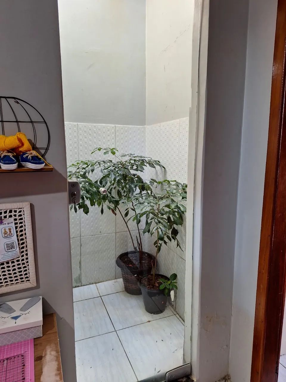 Casa no Centro de Itajuipe  - Foto 3