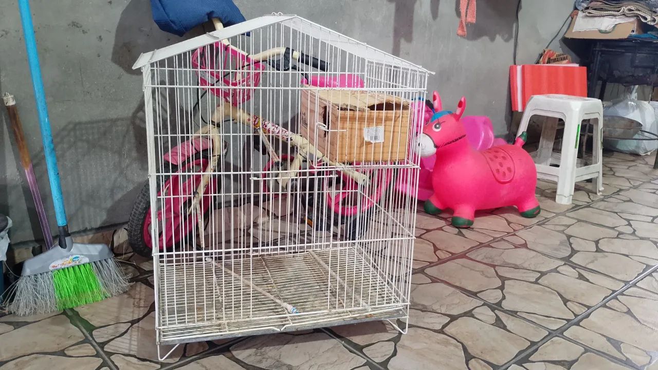 Gaiola Grande  - Foto 4