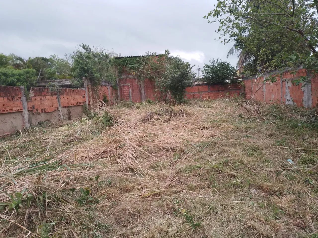 Terreno murado e plano 12x30  - Foto 4