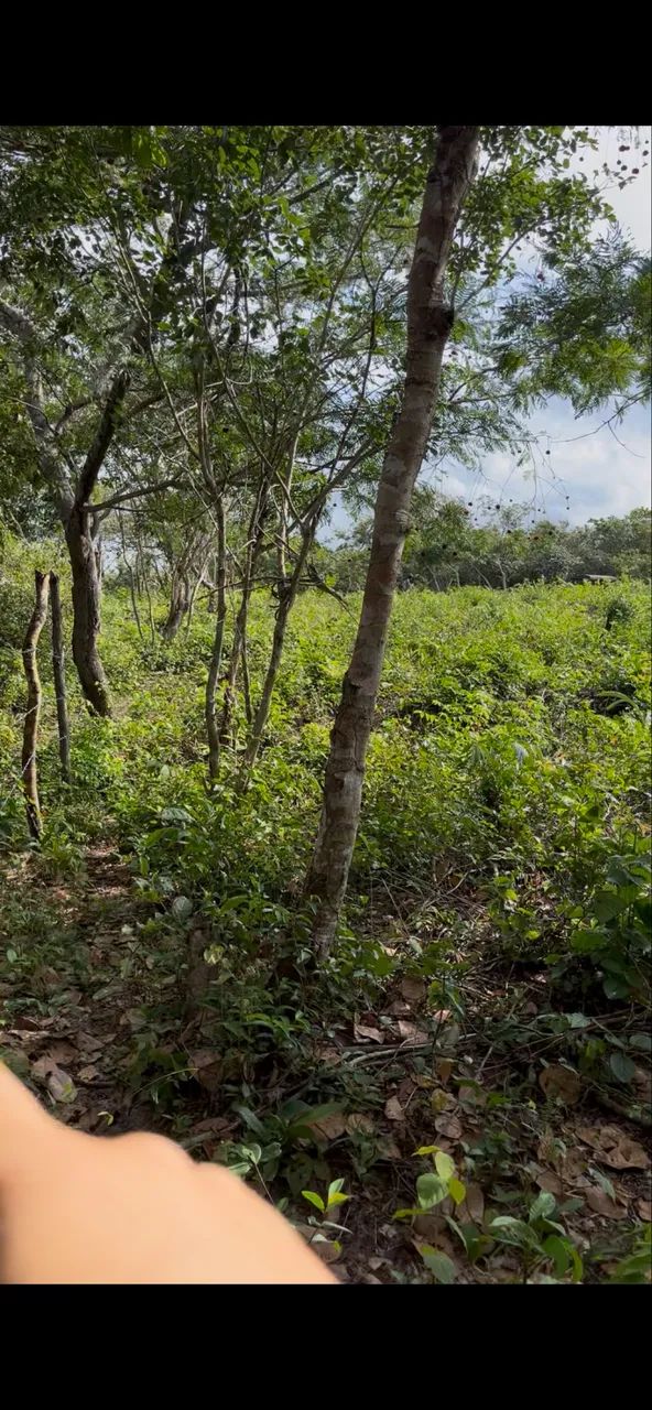 Terreno em Barreirinhas  - Foto 2