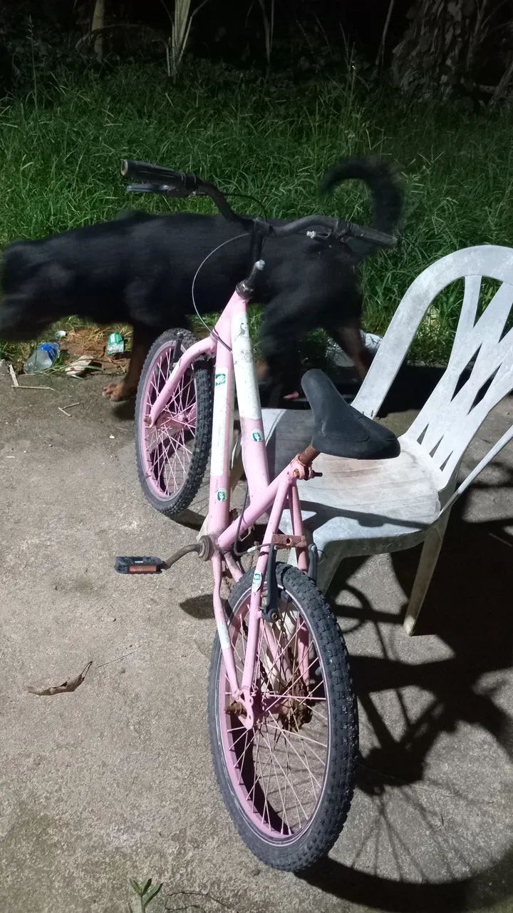 Bicicleta Feminina Infantil  - Foto 3