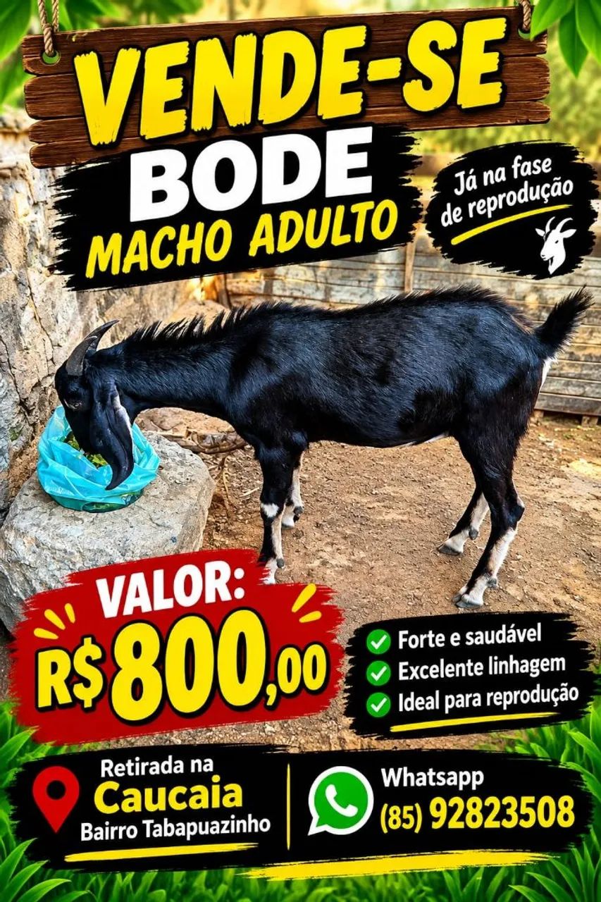 Vende se bode 