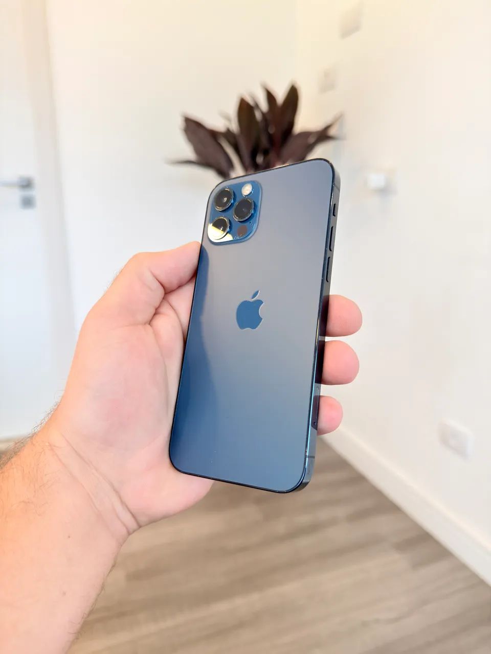 Pra | Luiza Magazine ブルー 512GB. pro. 12 iphone apple. T*S様 você Magalu! é 携帯電話本体