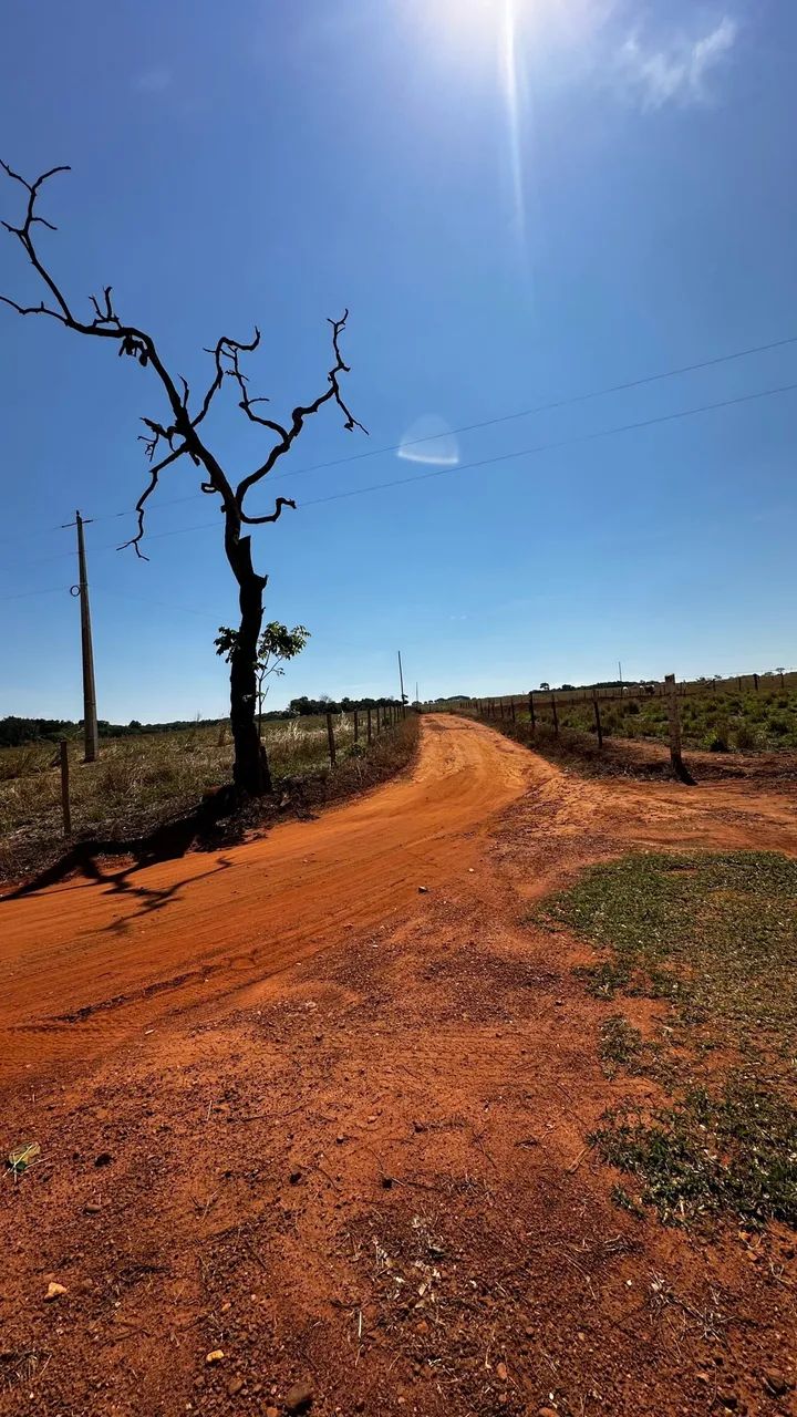Foto - Bela Vista de Goiás - 