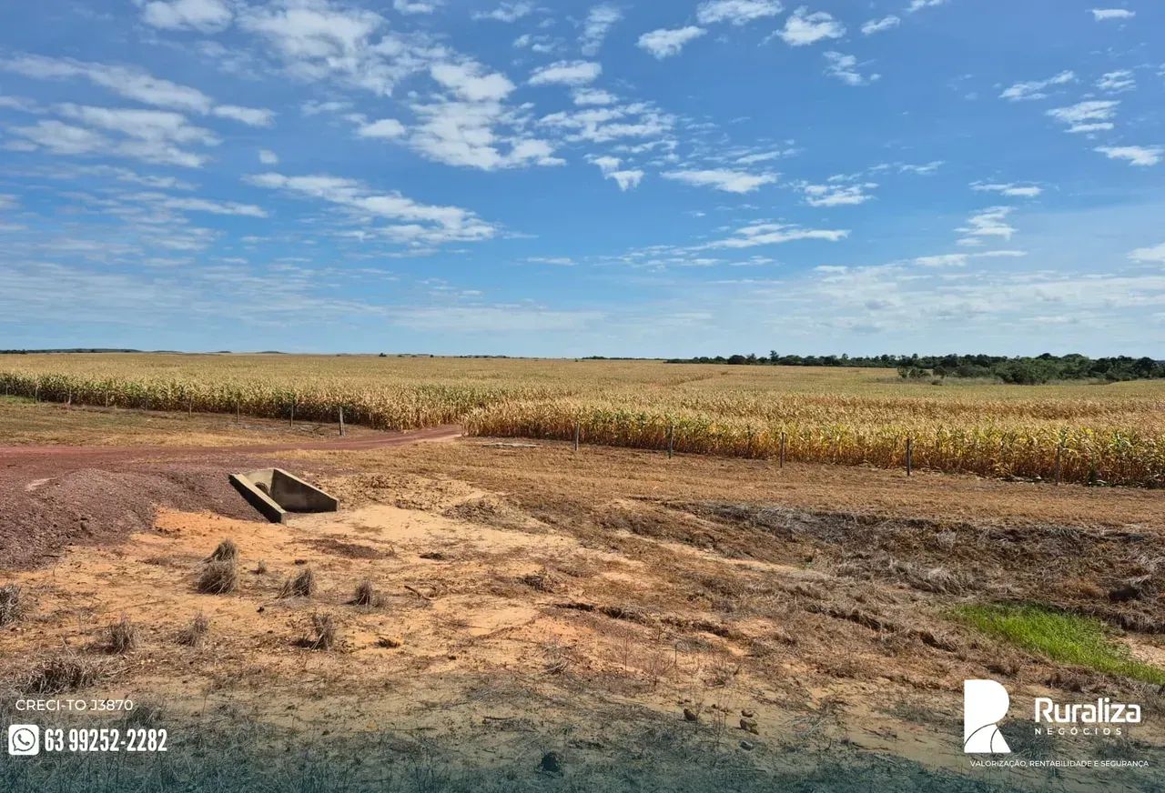 650 ALQUEIRES | 1.750 HA AGRICULTÁVEIS | 1.500 HA ABERTOS - Foto 10