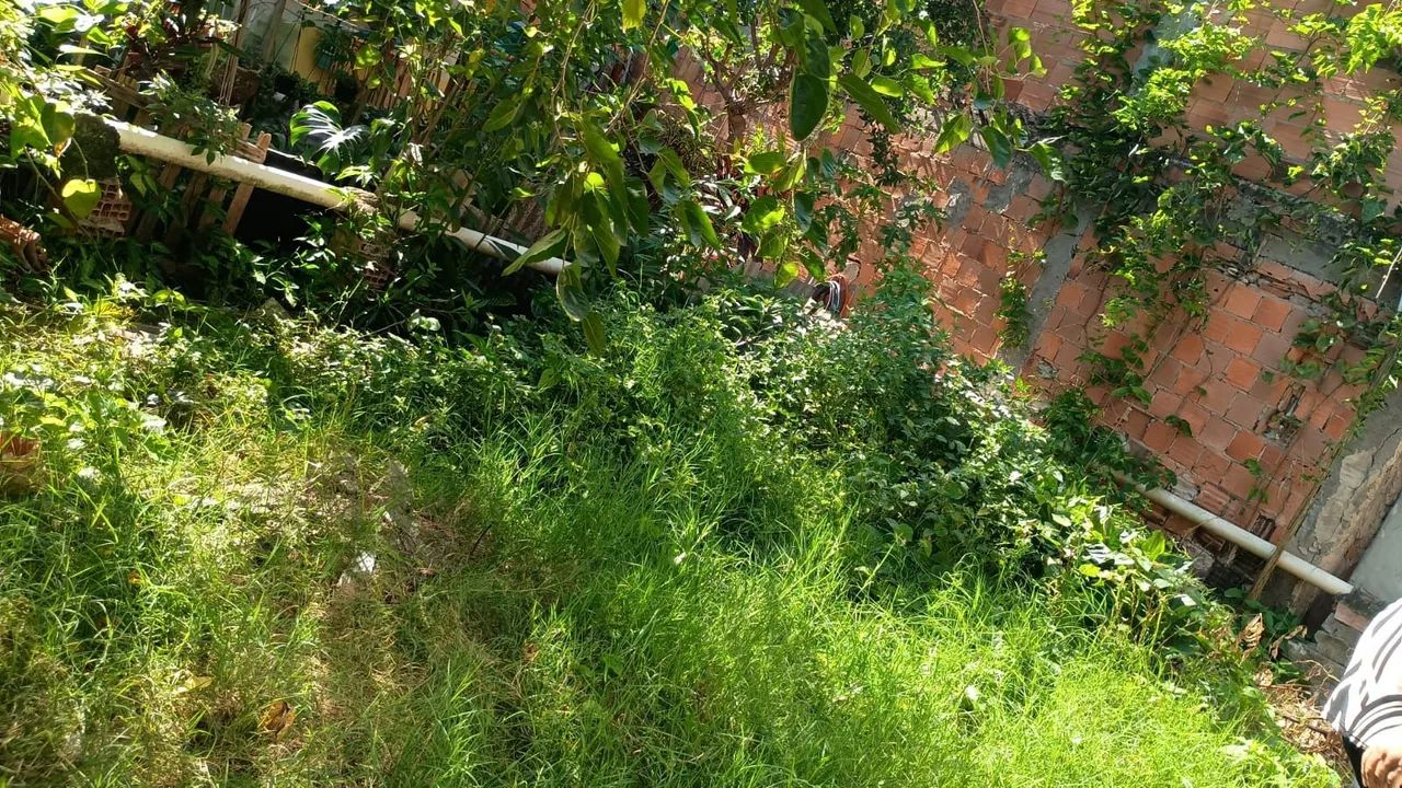 LIMPEZA DE QUINTAL E TERRENOS 