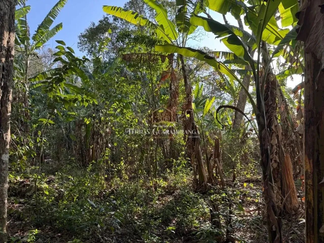 TERRENO EM GUARAMIRANGA - Foto 3