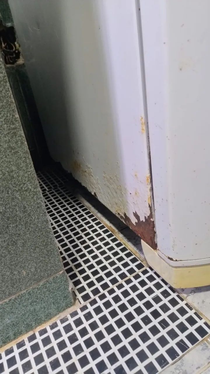 Geladeira Eletrolux Frost Free DF46 460 litros - Foto 6