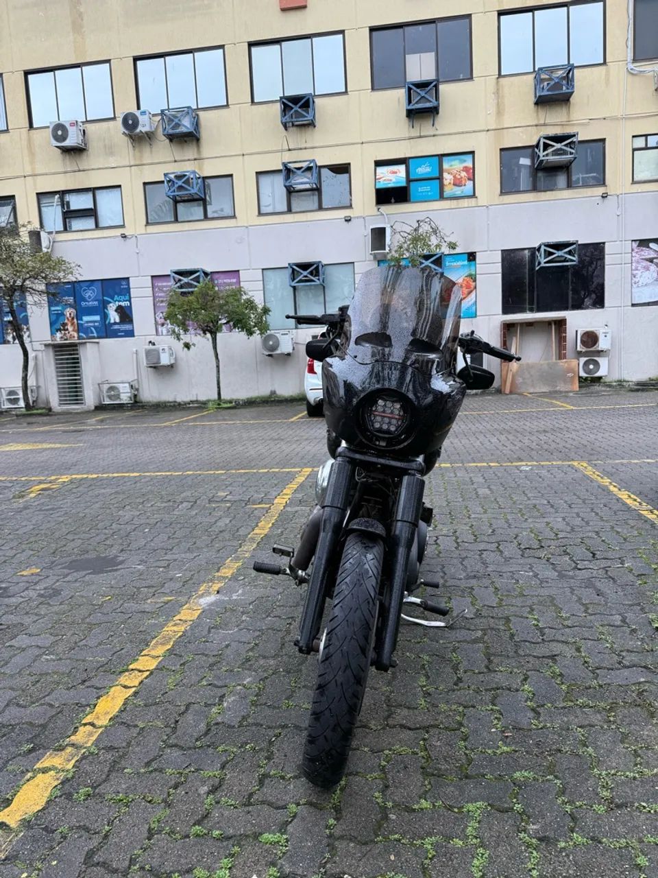 Street bob 2015 - Foto 4