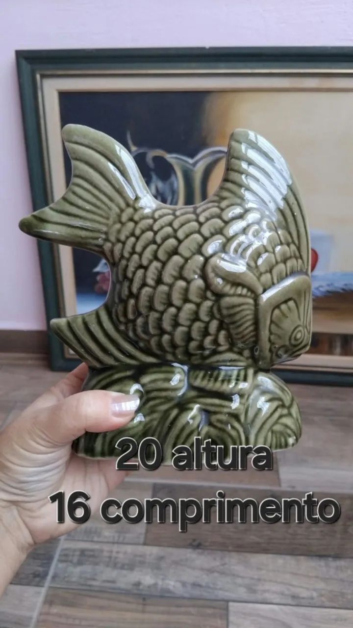 Peixe porcelana  - Foto 4