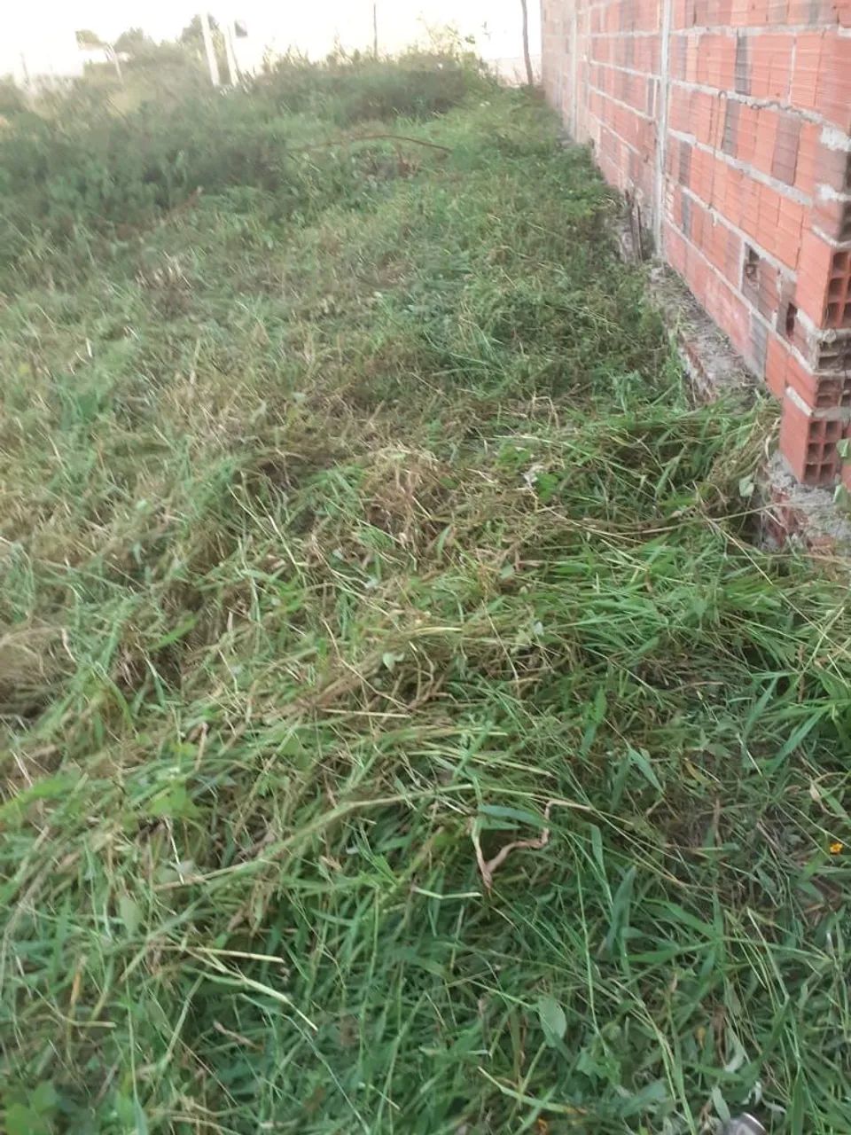 Terreno em Itabaianinha  - Foto 5
