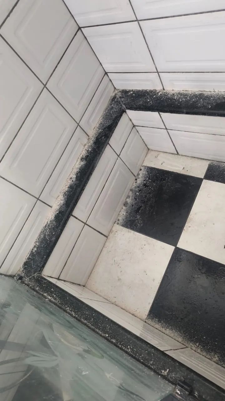     Remoção de gordura e encardido do banheiro.