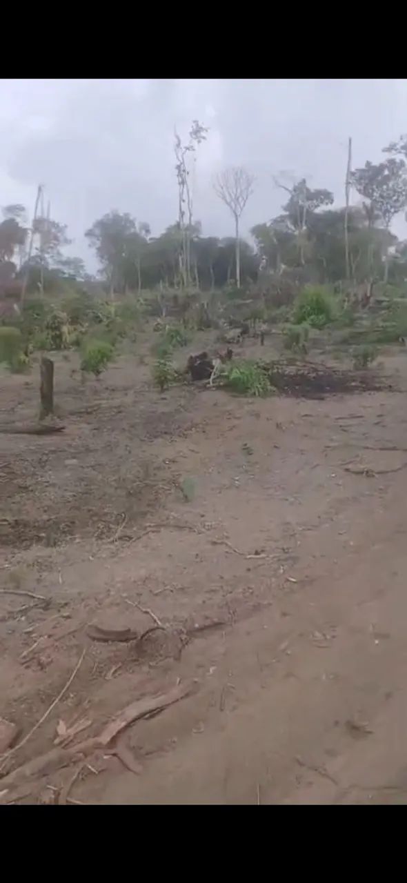 TERRENO NO GOIABAL - Foto 3