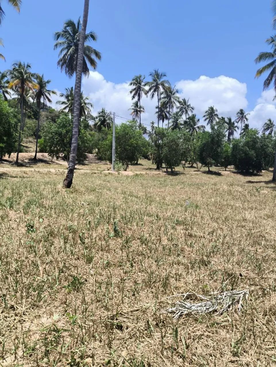 Foto - Jaboatão dos Guararapes - Candeias