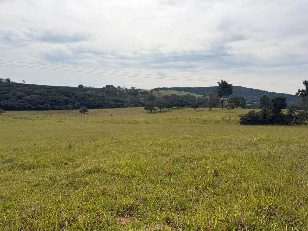 Fazendinhas em esmeralda  - Foto 5