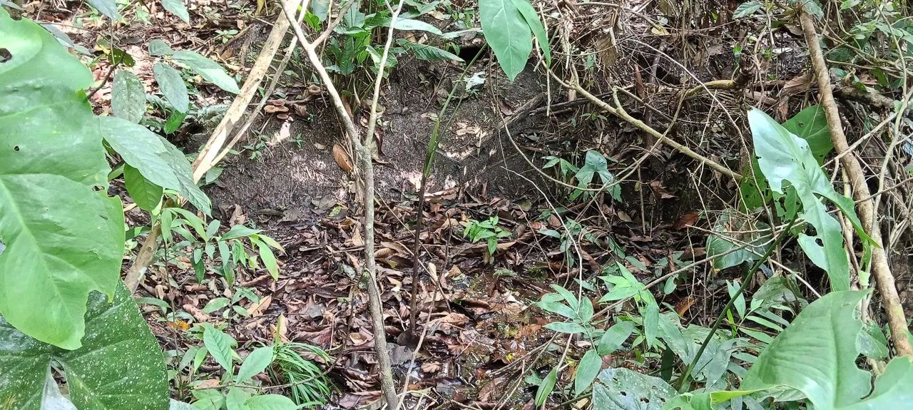 Terreno na agrovila Itaqui  - Foto 4