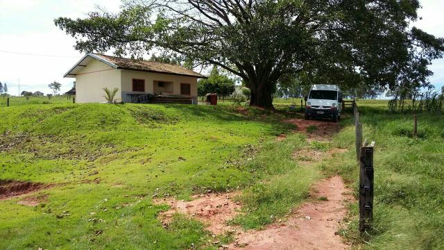 Sitio 5 alqueires formado e todo cercado - Foto 12