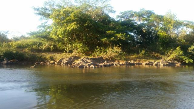 40 Alq. c/ 2 Rios + Cultura. Israelândia-GO. - Foto 12