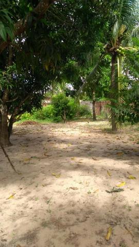 Vendo Granja em Monte Alegre- Casa sede com 3 quartos- Com dependência - Foto 2