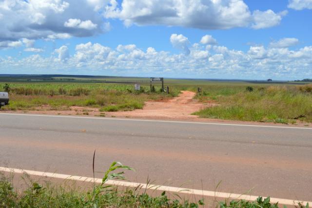 7800 hectares, Primavera do Leste-MT - Foto 5