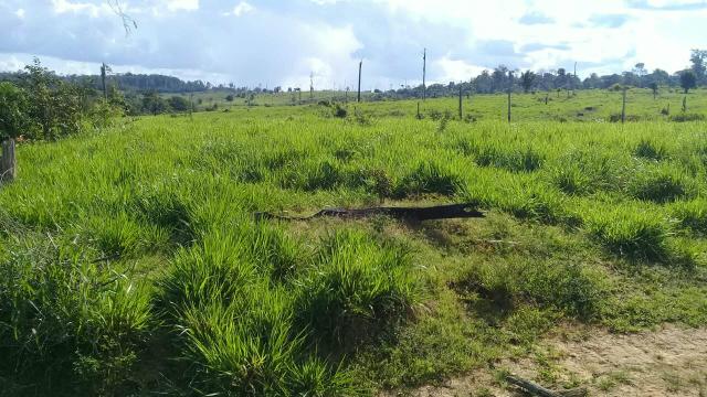 34 alque à 12 km de imperatriz sendo 5 km de chão - Foto 2